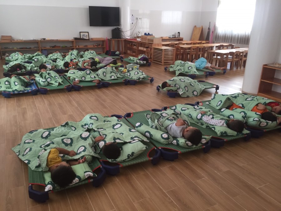 z2048886547261 6a3ae9ad3c8e5a50696c6ad00d5fee43